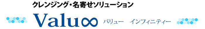 クレンジング・名寄せソリューション バリューインフィニティー